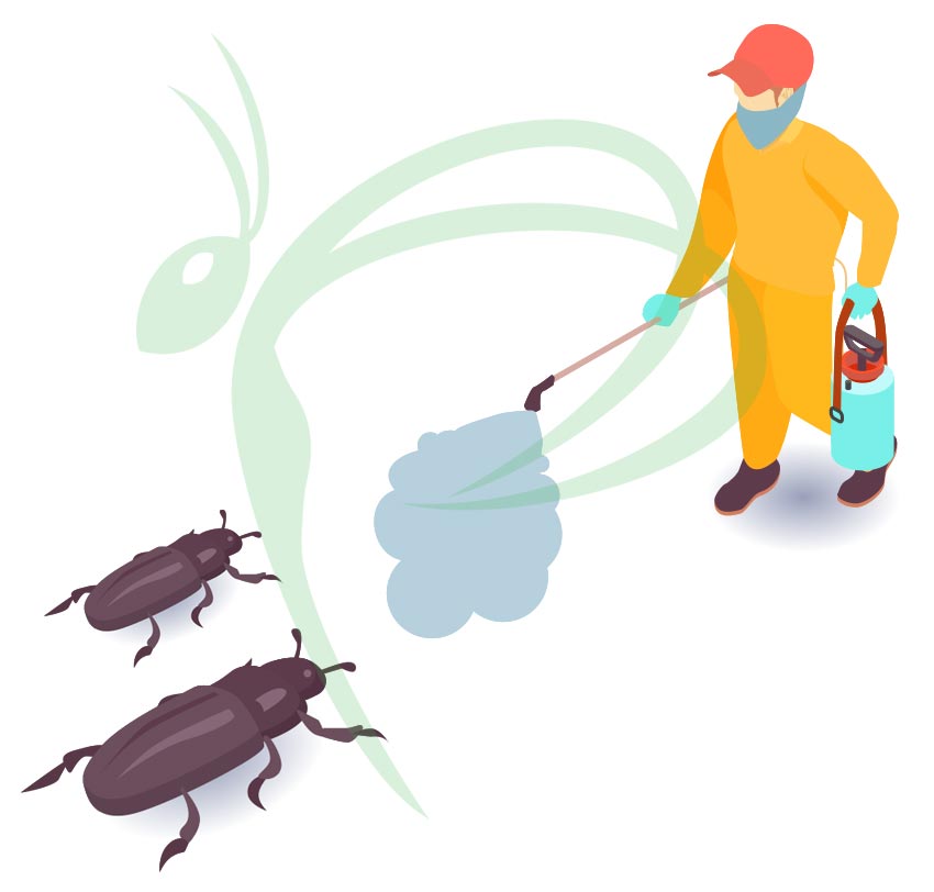 Kokusuz Böcek İlaçlama