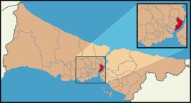 Beşiktaş İlaçlama